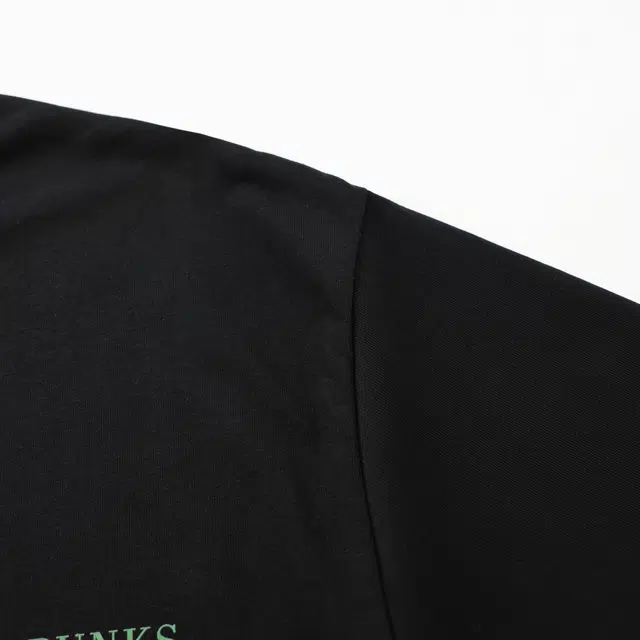 HIPHOPPUNKS T