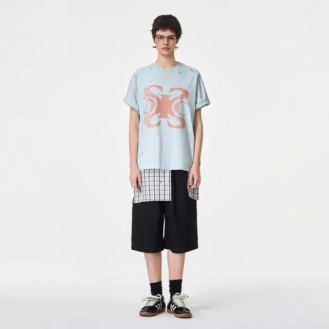 ICONS Lab ICS T