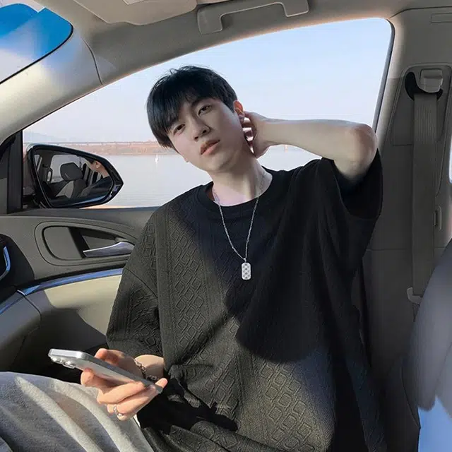 VIPGOOSE T
