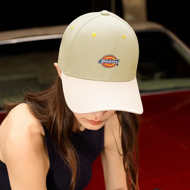 Dickies Logo
