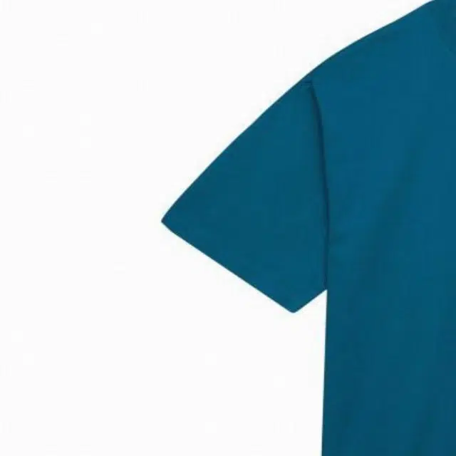 Mitchell Ness T