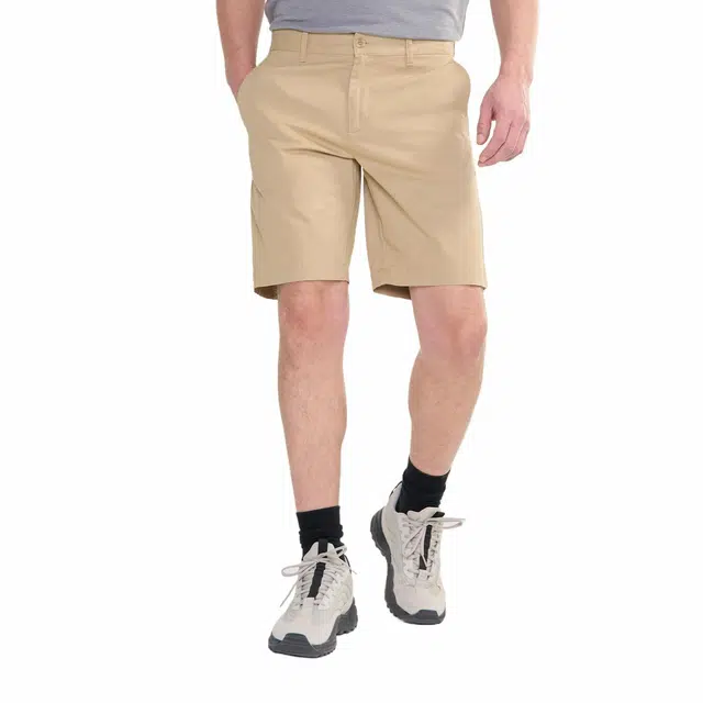 AIGLE
