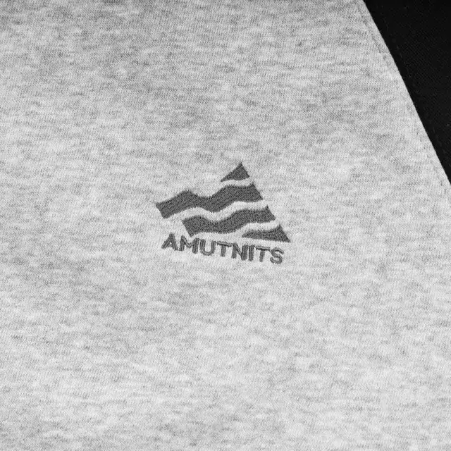 AMUNITS