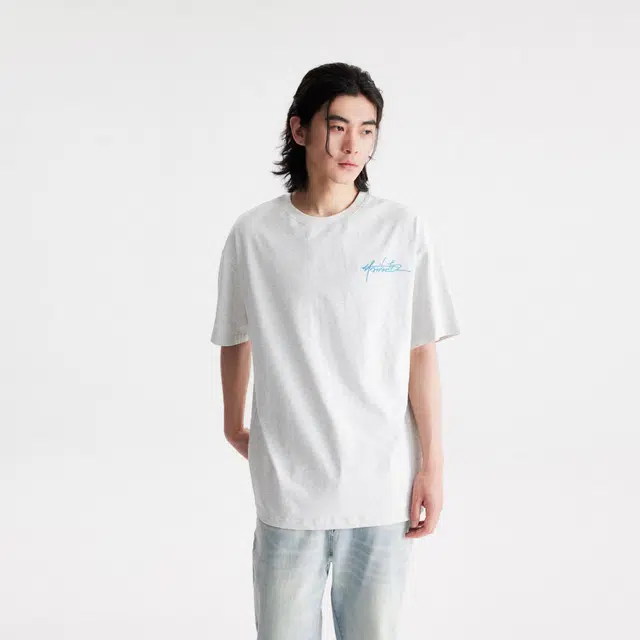 WELTER EXPERIMENT T