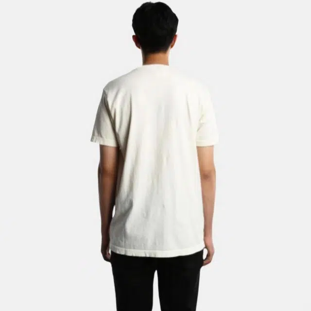 RIPNDIP T