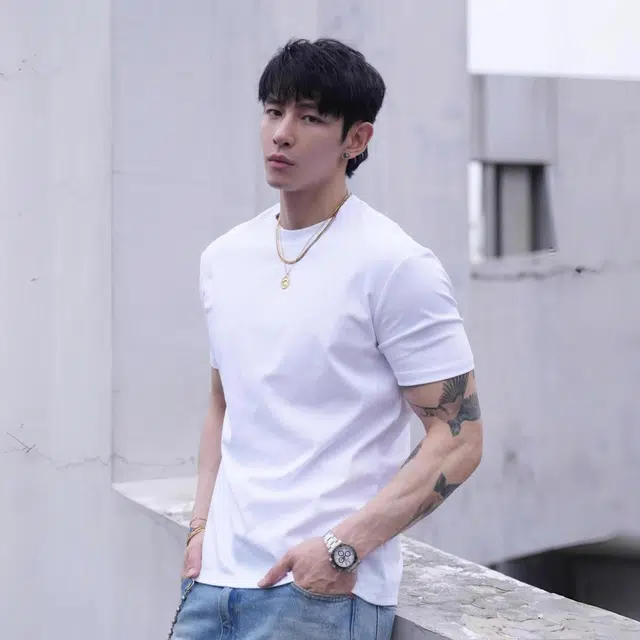 VIPGOOSE T
