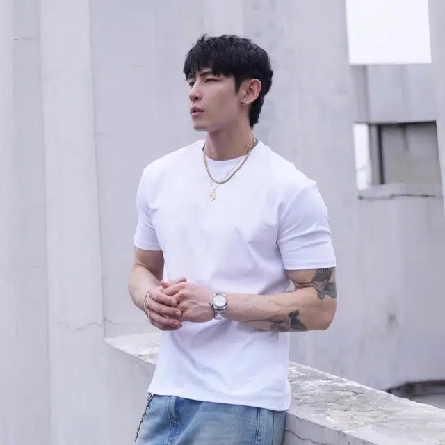 VIPGOOSE T