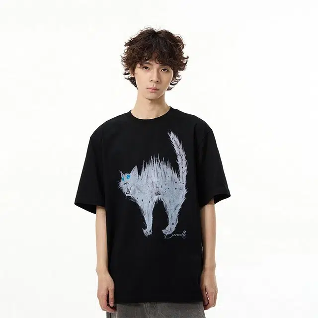 WELTER EXPERIMENT T