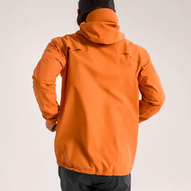 Arcteryx Norvan GORE-TEX logo