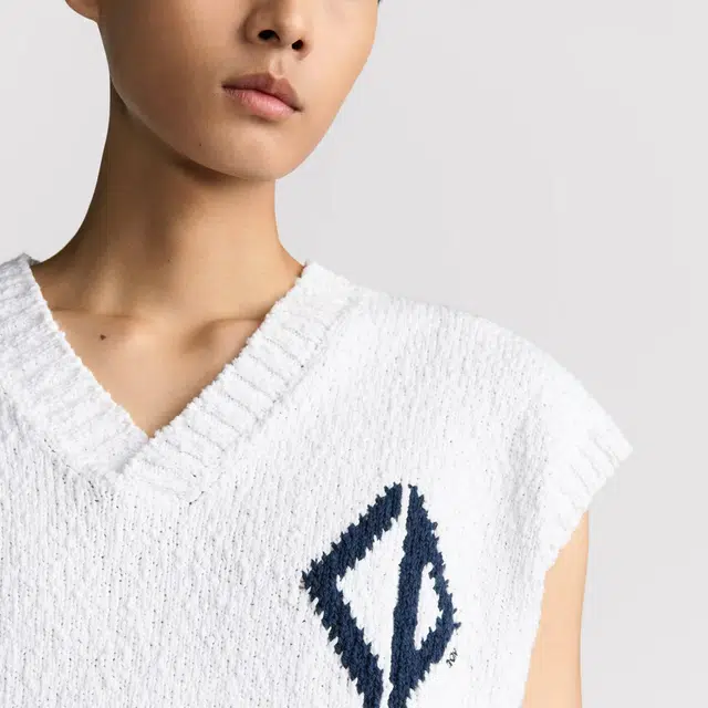 DIOR FW25 V