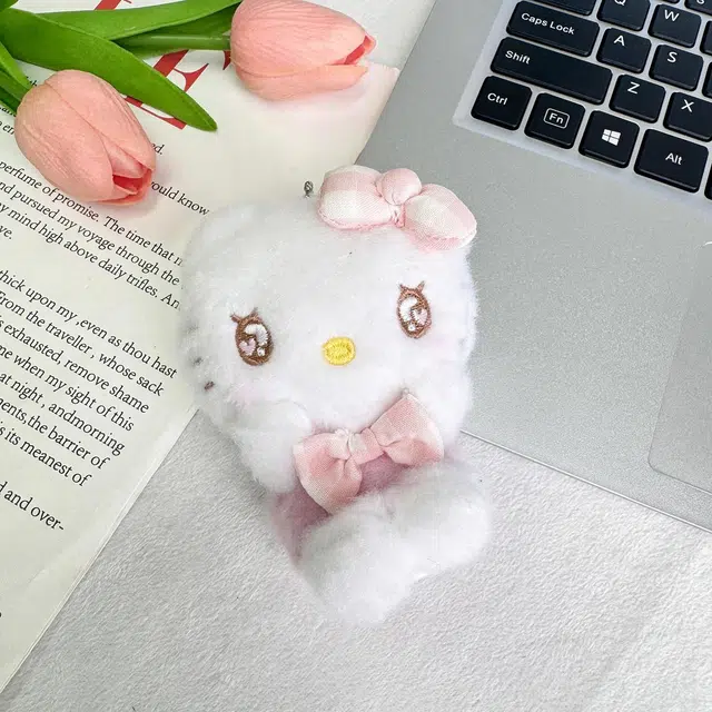Sanrio Hello Kitty