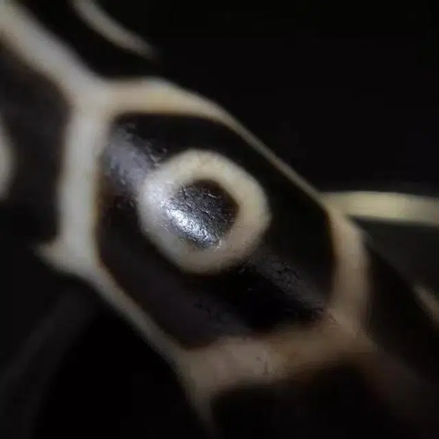 灵运宝 转运招财龟甲九眼天珠老矿风化油润包浆老料器磨损到位天然 玛瑙 吊坠 男女同款情侣款