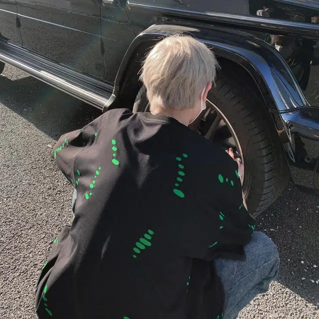 VIPGOOSE T