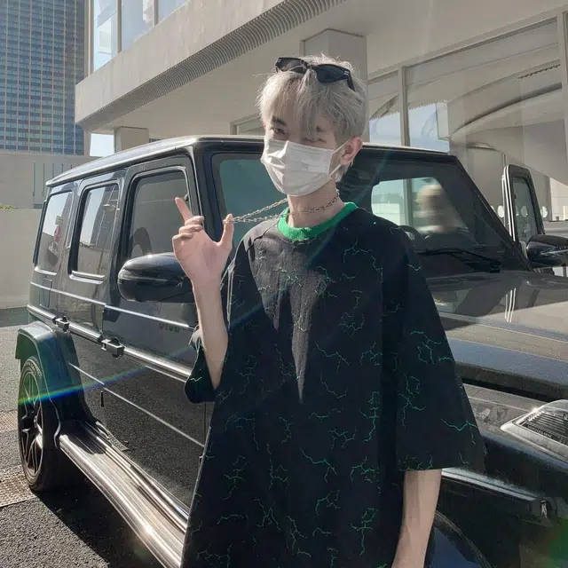 VIPGOOSE T