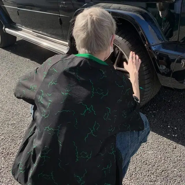VIPGOOSE T