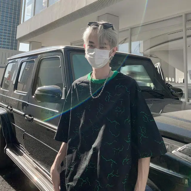 VIPGOOSE T