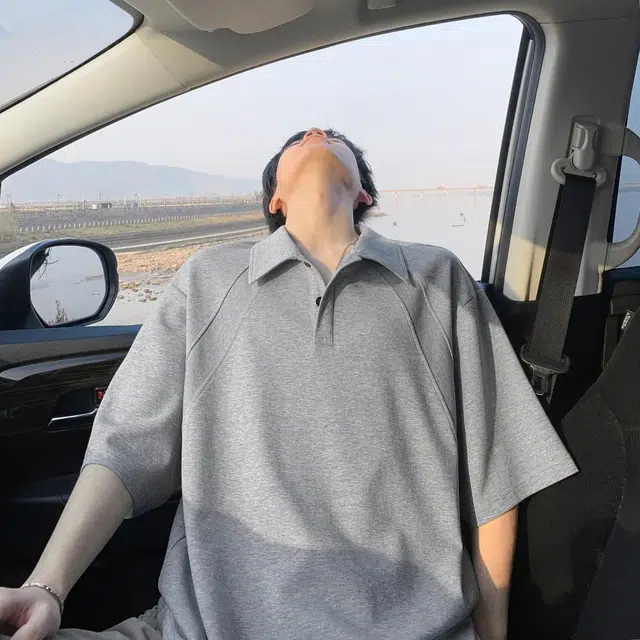 VIPGOOSE PoLoCleanfitT