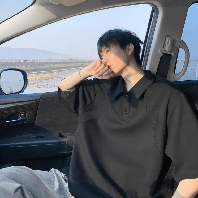 VIPGOOSE PoLoCleanfitT