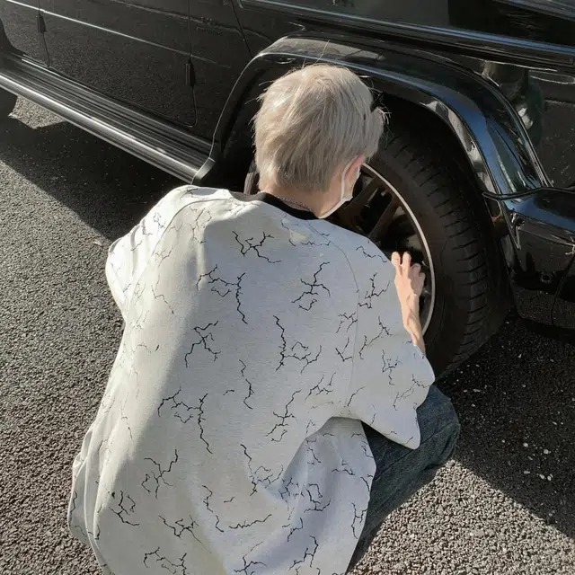 VIPGOOSE T