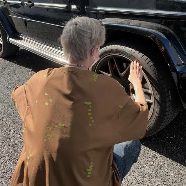 VIPGOOSE T