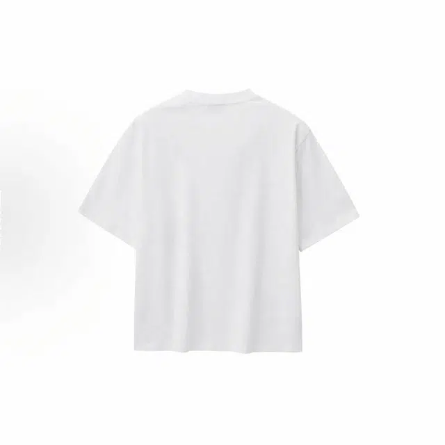 PAINT STAIN T