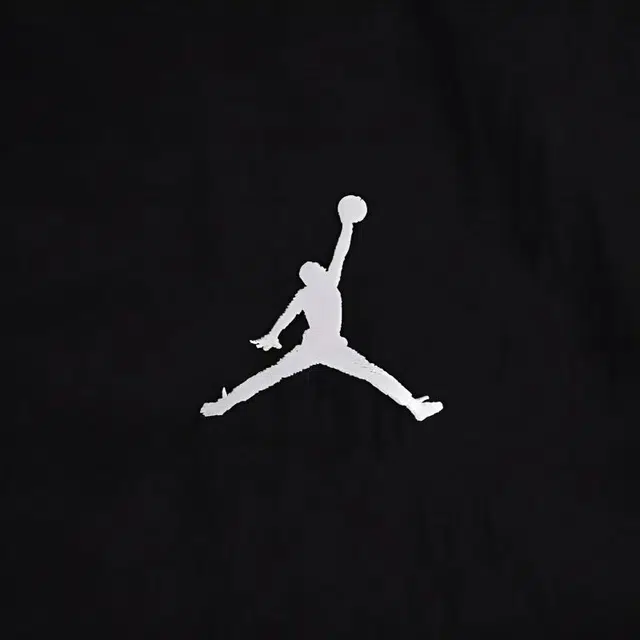 Jordan Air logo