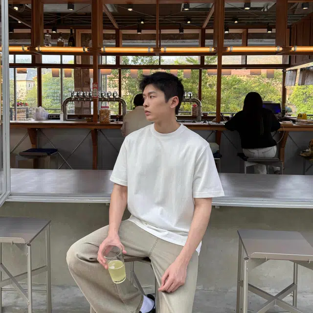 VIPGOOSE insT
