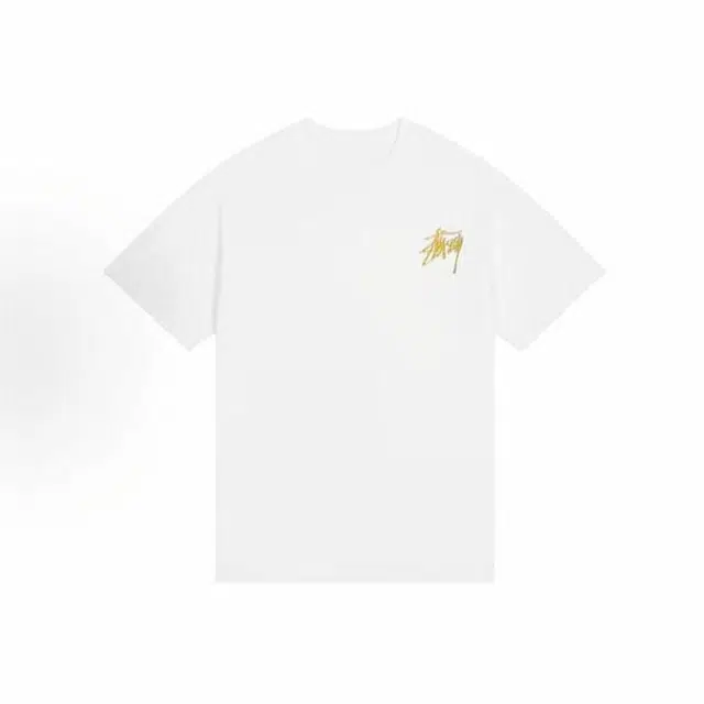 PAINT STAIN T