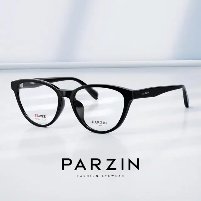 PARZIN