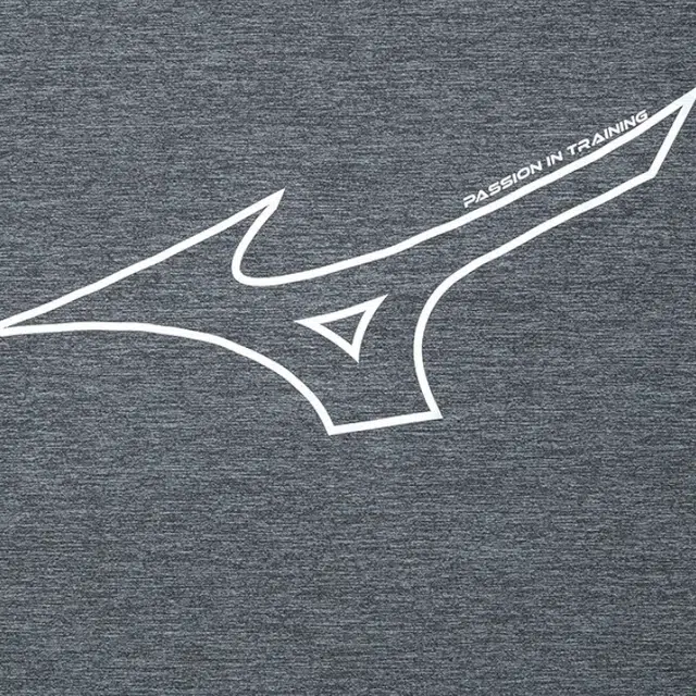 Mizuno LogoT