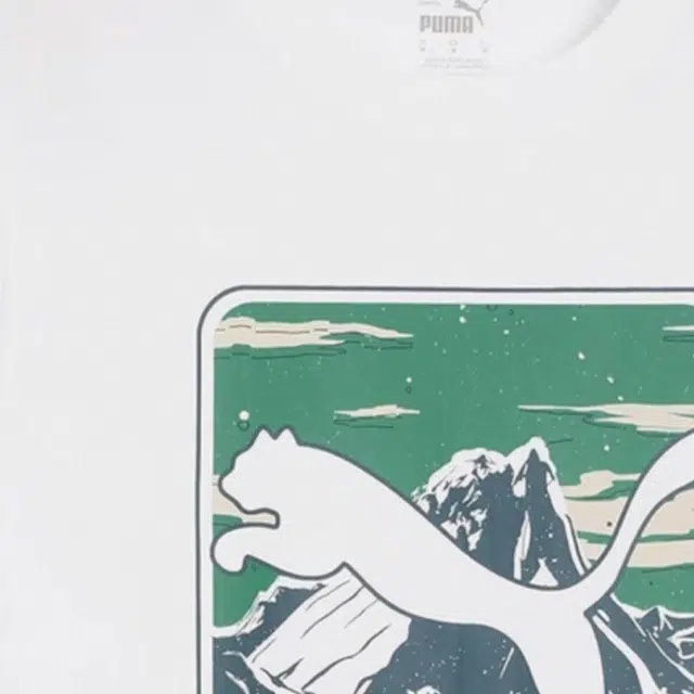 PUMA T