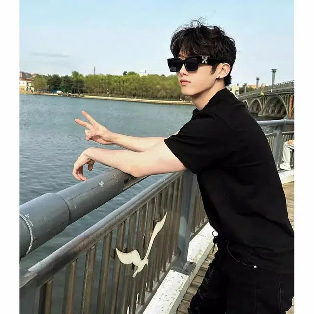 VIPGOOSE T