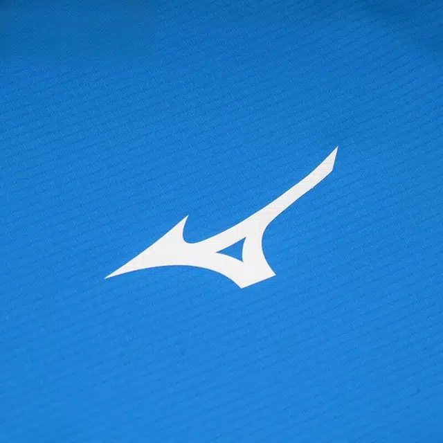 Mizuno T