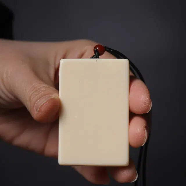 嫒柯 新中式国风文玩精工雕刻 小众设计轻奢高级感佛牌 好运连连招财纳福考公考研上岸转运国潮挂件 #好运 象牙果 项链 男女同款情侣款