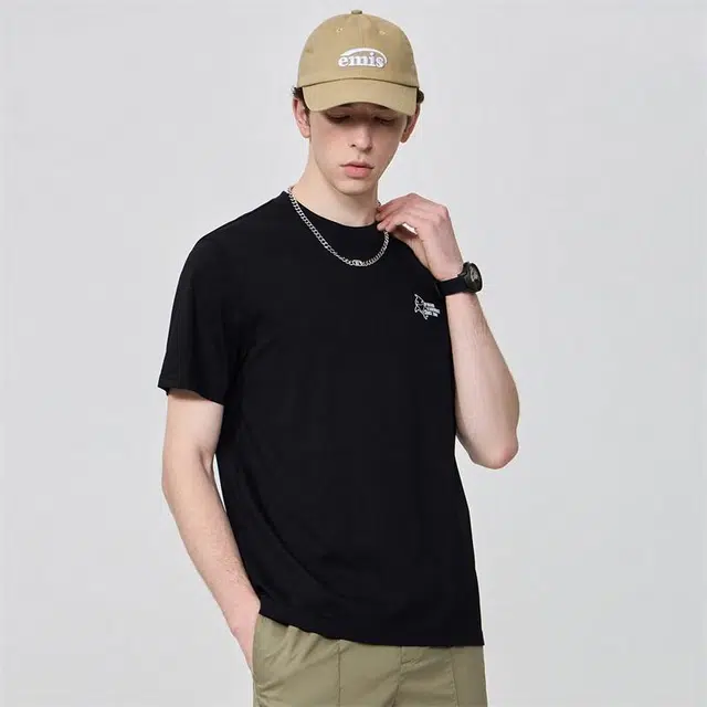 FAIRWHALE T