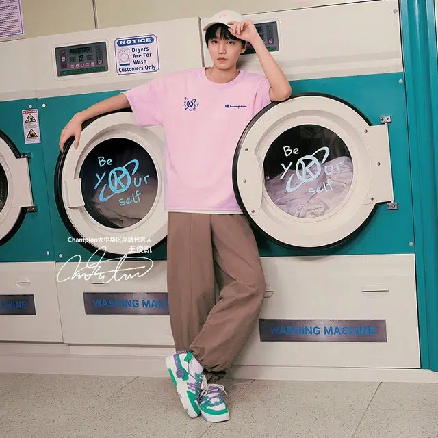 Champion Essentials Bumper V1