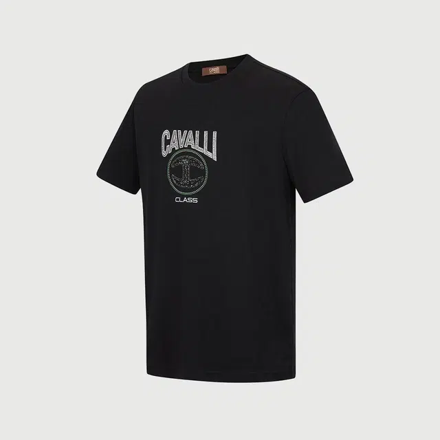 Cavalli Class T