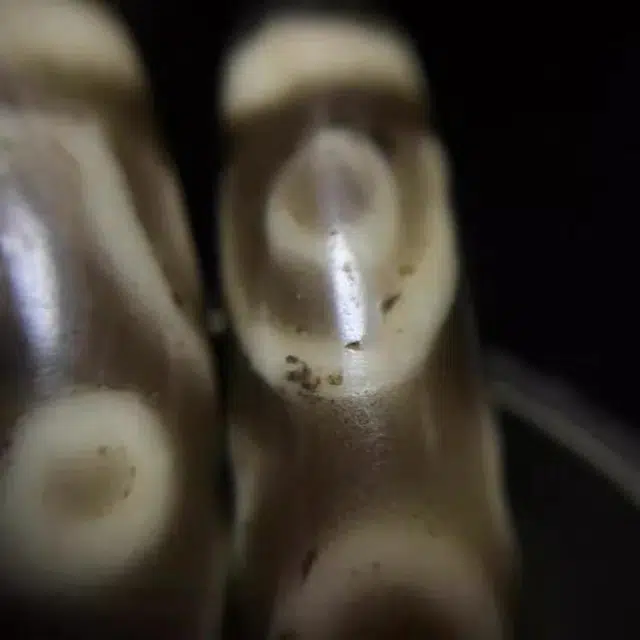 灵运宝 【师傅已加能量】#转运招财西藏藏区天珠金刚六眼一对老矿风化油润包浆老料器磨损到位 小米珠 吊坠 男女同款情侣款