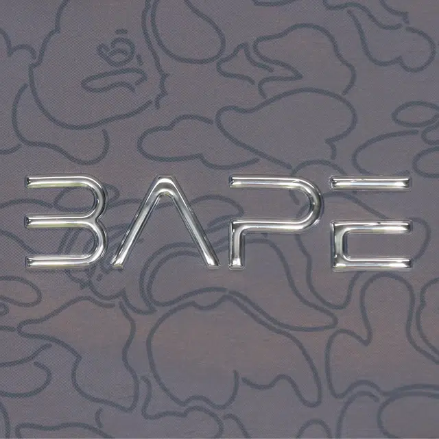 A BATHING APE x HAJIME SORAYAMA Logo