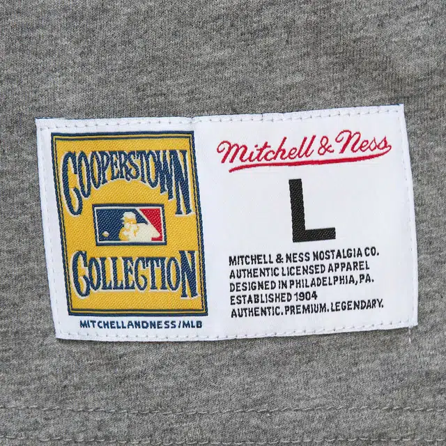 Mitchell Ness x MLB LOGOT