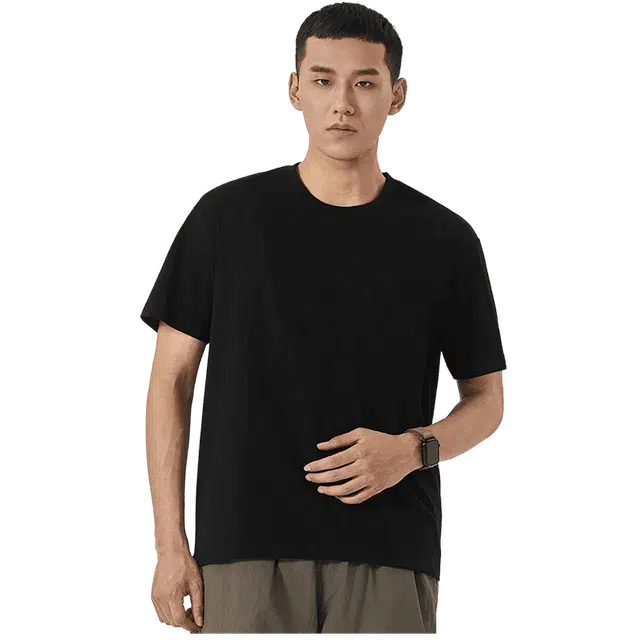 YZ T