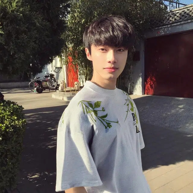 YPL T