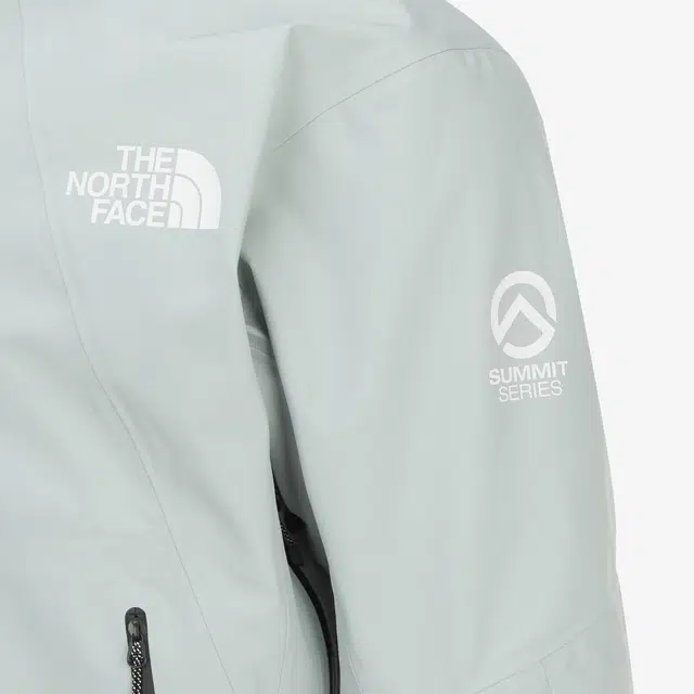 THE NORTH FACE GTX THETA