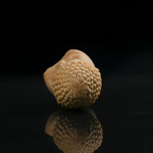 仙友 新中式国潮文玩宝宝佛精工雕刻 好运莲莲诸事顺利 平安顺遂 盘玩收藏 竹木 把件 男女同款情侣款