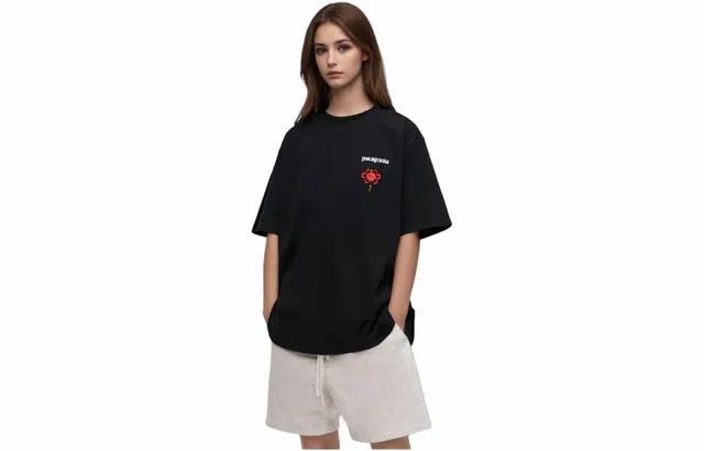 patagonia Extraordinary T