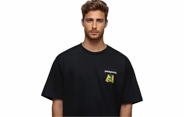 patagonia Extraordinary T