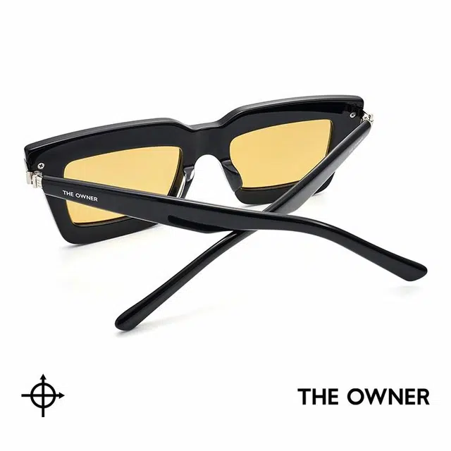THE OWNER