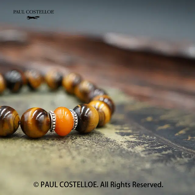 PAUL COSTELLOE