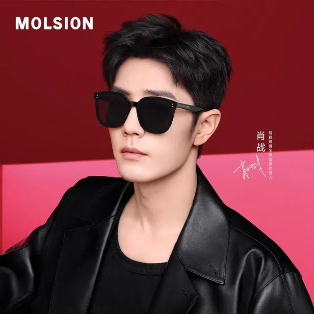 MOLSION