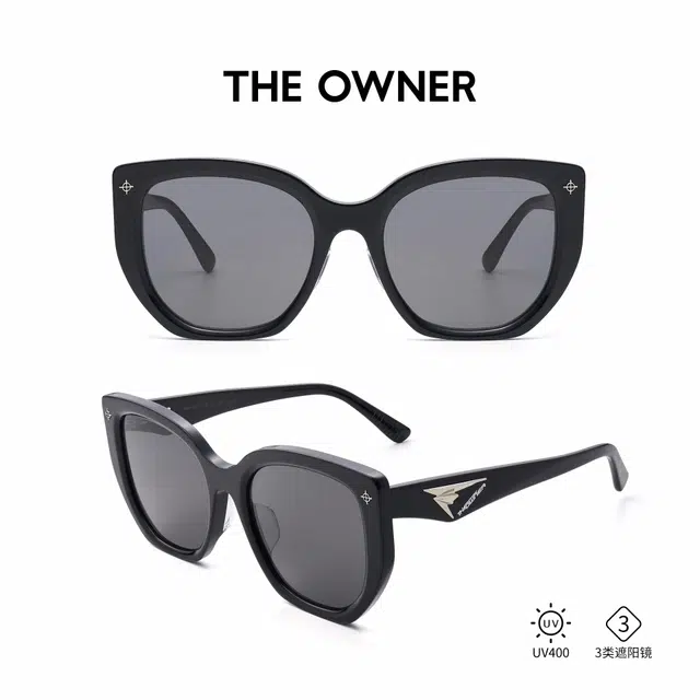 THE OWNER